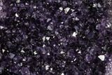 Tall, Dark Purple Amethyst Cluster On Wood Base - Uruguay #113908-2